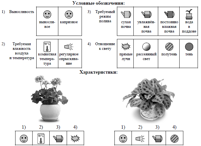 Впр 4 класс математика семейное дерево. Символы по уходу за растениями. Обозначения на цветах в горшках. Обозначения на цветочных горшках. Обозначения растений.